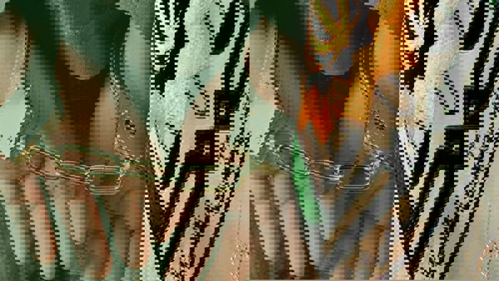 دستگیری ۲۱ نفر در شهر اهر