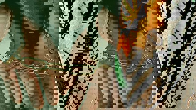 دستگیری ۲۱ نفر در شهر اهر