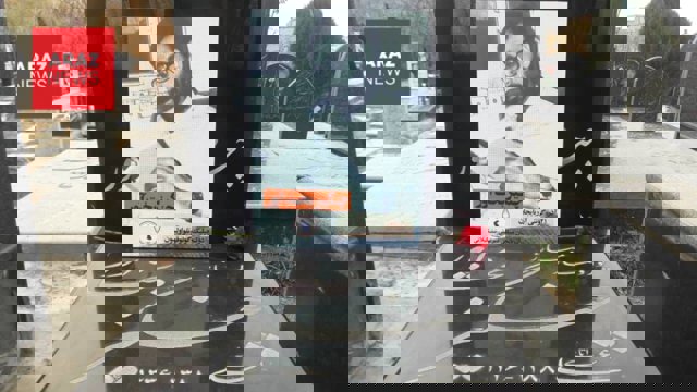 پانزدهمین سالگرد فوت «چنگیز بخت آور»