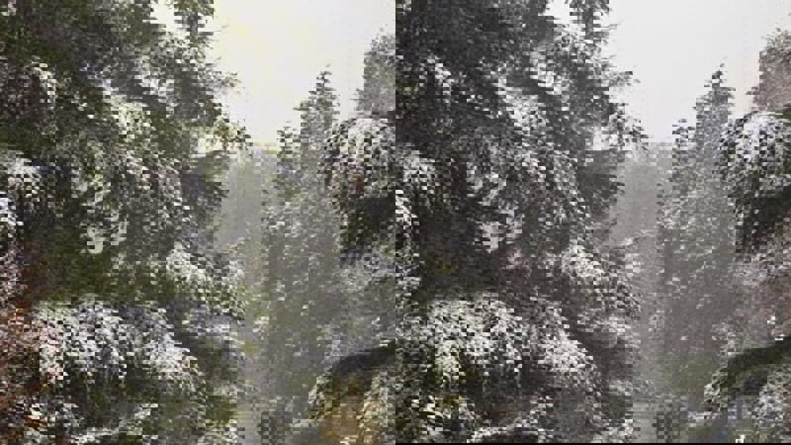 بارش برف، مدارس برخی از شهرهای آذربایجان شرقی را تعطیل کرد