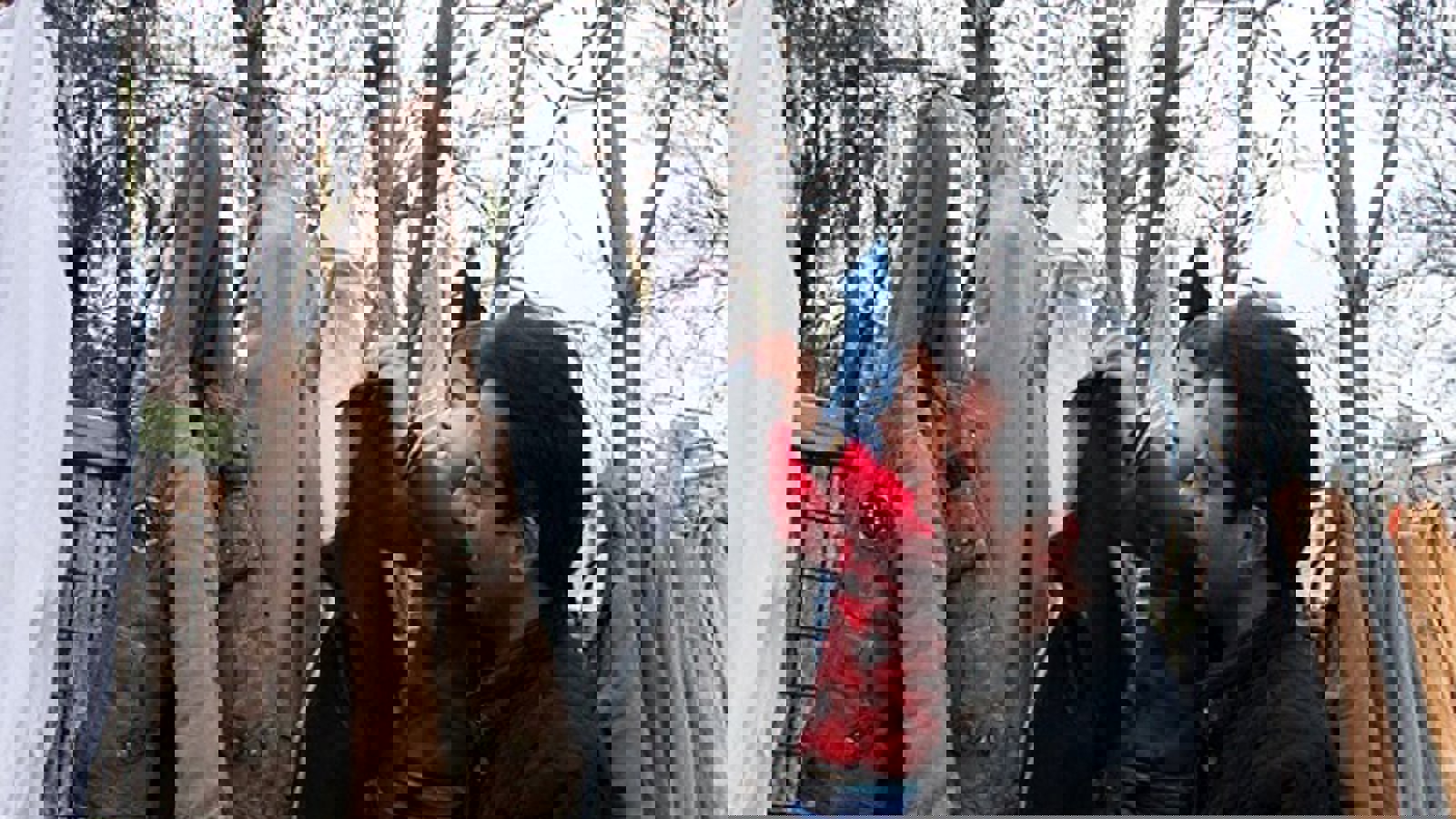 "دیوار همدلی" درشهر اولین ها ''تبریز'' + تصاویر