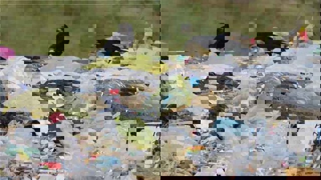 تهدید بیماری و آلودگی مردم، به دنبال دفع غیراصولی زباله در خلخال