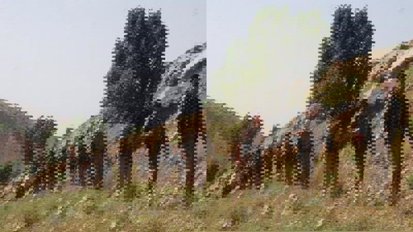 سپاه: کشته شدن ۵ تن از حزب دموکرات کردستان ایران در درگیری مهاباد (سویوق بولاغ)