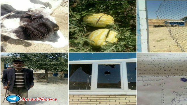 تخریب محصولات کشاورزان دریکی از روستاهای کلیبر