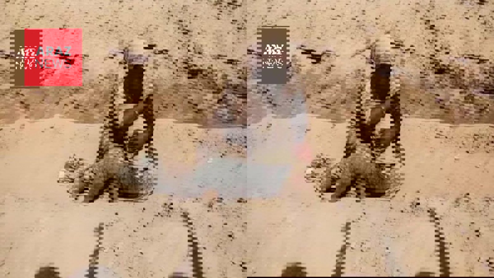 فاجعه انسانی در الفاشر دارفور؛ هشدار سازمان ملل درباره نسل‌کشی