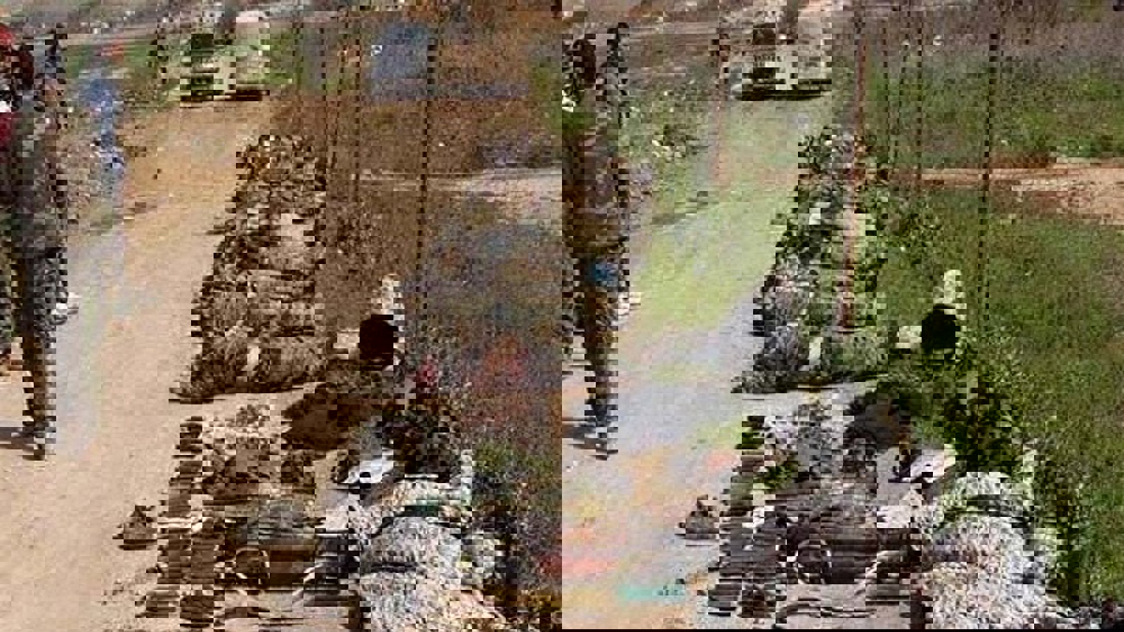 هلاکت ۲۳ تروریست عضو پ‌ک‌ک در درگیری با نیروهای امنیتی ترکیه