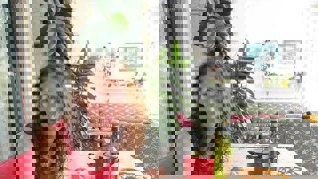 بازداشت یک شهروند کروات-سوئدی توسط اطلاعات سپاه در گرگان