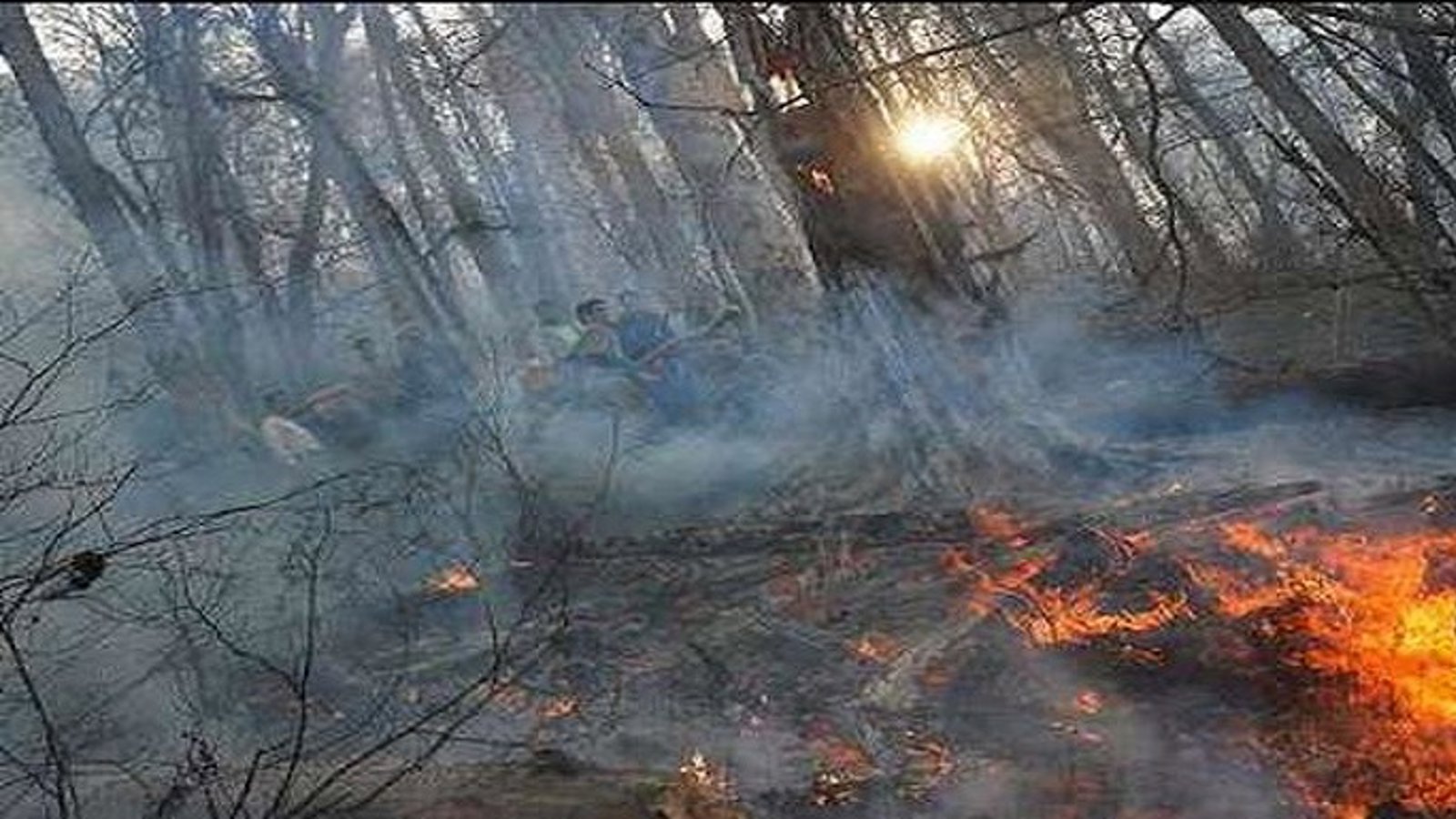 آتش سوزی در منابع جنگلی آزربایجان جنوبی - زنجان