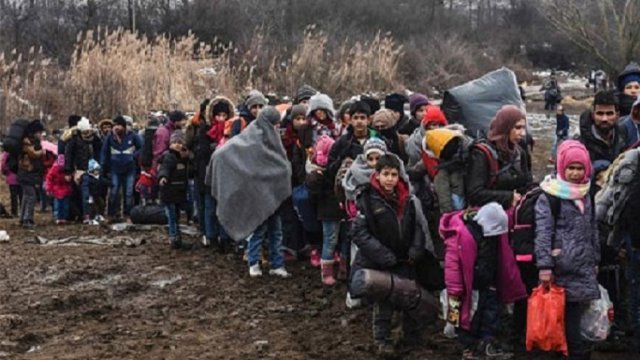 چند هزار پناهجو امسال وارد اروپا شدند؟ این میزان در تورکیه چقدر است؟