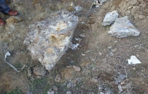 کشف سنگواره یک جانور عظیم در اردبیل آزربایجان