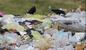 تهدید بیماری و آلودگی مردم، به دنبال دفع غیراصولی زباله در خلخال