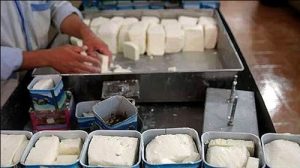 نماینده مردم تبریز: برند پنیر و لبنیات لیقوان از دست آزربایجان می‌ گیرند
