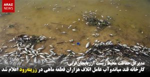 کارخانه قند میاندوآب عامل اتلاف هزاران قطعه ماهی در زرینه‎رود اعلام شد