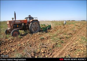 دشت های حاصل خیز اردبیل نیازمند توجه