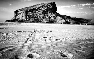 سقوط 60 پله‌ای ایران در شاخص‌های زیست محیطی