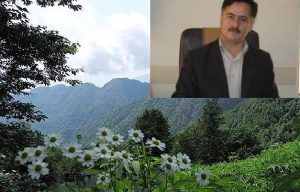 سروی: اردبیل استان مهاجر فرست است