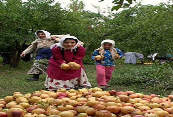 زنان ایران عمدتا از لحاظ اقتصادی غیرفعالند