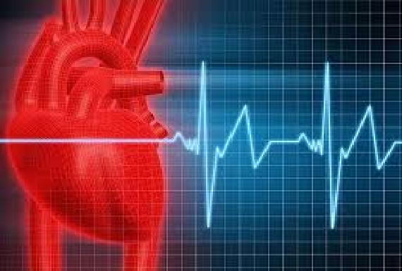 در ایران ۴۶ درصد از مردم بر اثر بیماری‌های قلبی می‌میرند