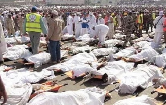 آمار جدید : ۱۳۰۰ نفر کشته و ۸۶۸ زخمی در مراسم حج