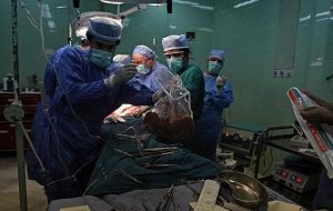 “بیتا” دختر ۱۷ ساله تبریزی؛ به چهار نفر زندگی بخشید