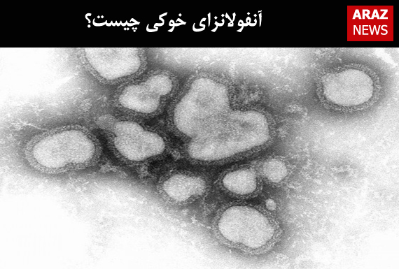 آنفولانزای خوکی چیست؟