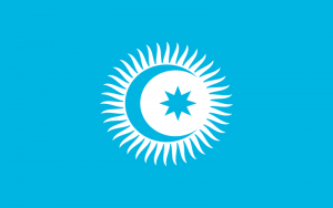 دولت‌های عضو شورای ترک سیستم واحد گمرکی ایجاد می‌کنند