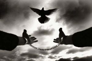 ابراهیم نوری و اکبر جهانگیرزاده آزاد شدند