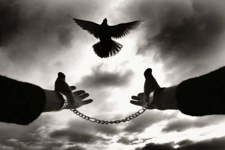 ابراهیم نوری و اکبر جهانگیرزاده آزاد شدند