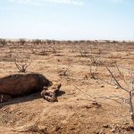 عیسی کلانتری: به دلیل بی‌آبی ۵٠‌میلیون ایرانی باید مهاجرت کنند