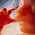 احمد علیرضابیگی: افزایش تولد نوزادان ناقص‌الخلقه در تبریز به دلیل آلاینده‌ها