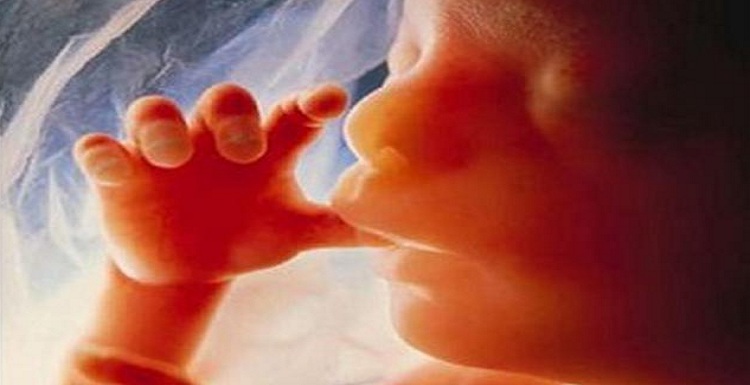 احمد علیرضابیگی: افزایش تولد نوزادان ناقص‌الخلقه در تبریز به دلیل آلاینده‌ها