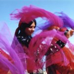 کاش زیبا کلام به قشقایی‌ها توهین کرده بود!