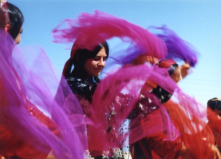 کاش زیبا کلام به قشقایی‌ها توهین کرده بود!