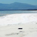 آیا خشک شدن دریاچه اورمیه باعث افزایش سرطان در آزربایجان شده است؟