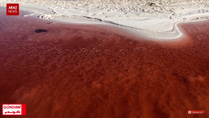 گوندم پروقرامی – ۱۲ مهر