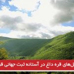 جنگل‌های قره داغ در آستانه ثبت جهانی قرار گرفت