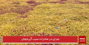 بحران در صادرات سیب آزربایجان