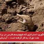  زنده‌به‌گوری؛ استراتژی که شوونیسم فارس در برابر آزربایجان و ملت تورک به کار گرفته است...