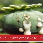 کشف ۵۰۰ کیلو مواد مخدر متعلق به پ ک ک در تورکیه