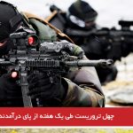 چهل تروریست طی یک هفته از پای درآمدند