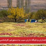 اعتراض باغداران و جایگاه داران سیب به دستور غیر کارشناسی استاندار غیربومی