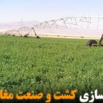 خصوصی‌سازی کشت و صنعت مغان لغو شد