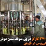بیکار شدن ۳۷۰ کارگر در پی متوقف شدن دوباره فعالیت کارخانه تولی‌پرس در قزوین