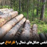 تاوان تنفس جنگل‌های شمال را قاراداغ می‌دهد