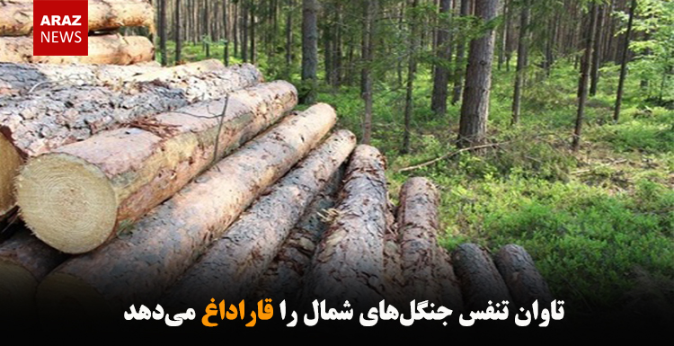 تاوان تنفس جنگل‌های شمال را قاراداغ می‌دهد