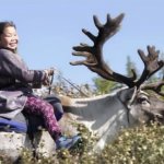 دوخا تورکلری – کیملیک پروقرامی