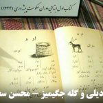 آنادیلی و گله جگیمیز