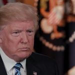 دونالد ترامپ: اگر جنگ شود ایران نابود می‌شود