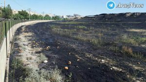 آتش‌سوزی گسترده در تپه باستانی همدان