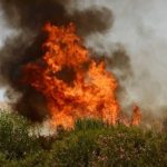 ۱۴۰ هکتار از مراتع و اراضی مُشجر خداآفرین طعمه حریق شد